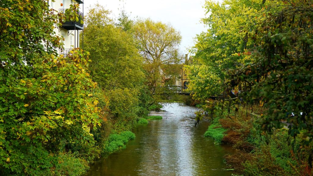 River Avon in Salisbury